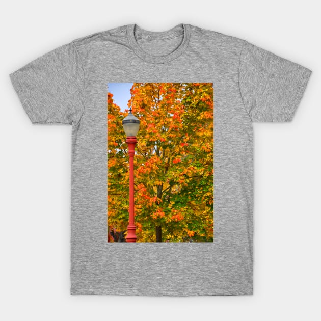 Fall Lamppost T-Shirt by KirtTisdale